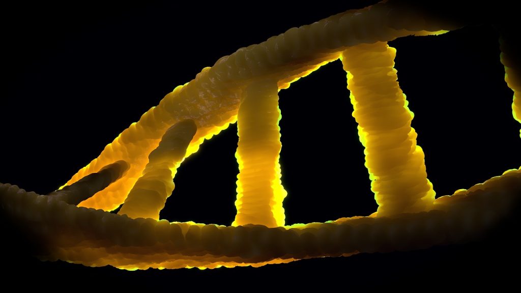dna-dns-biology-heritage-1388692 dna, dns, biology, heritage, double helix, molecule, adenine, thymine, guanine, cytosine, dna, dna, dna, dna, dna