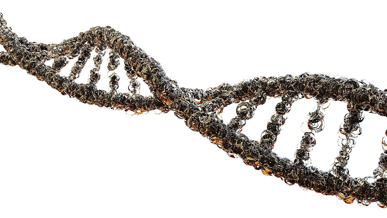 Hélice de ADN representando el análisis genético de DNA Fitbody